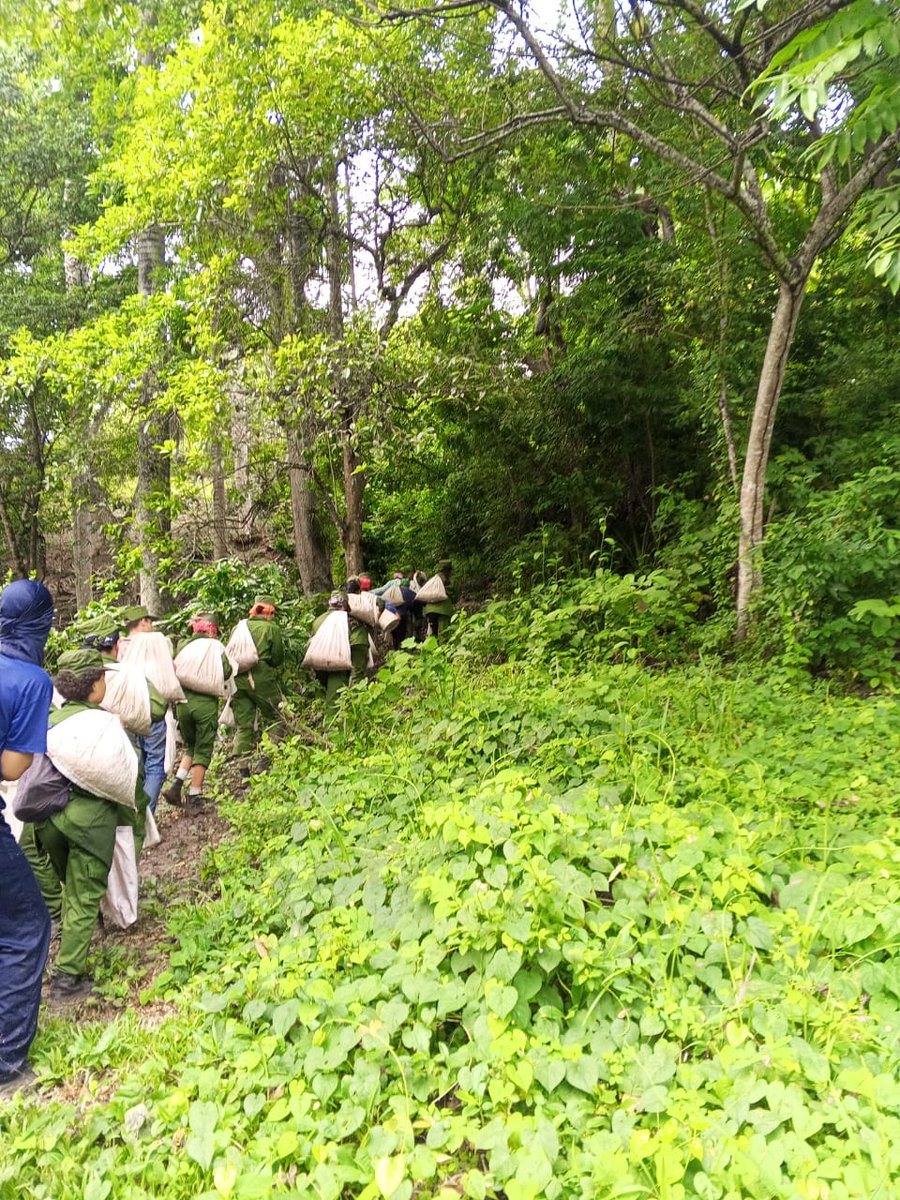 El resultado productivo de los alumnos de la EMCC de Holguín es algo serio.
Solamente en la última jornada recolectaron 46 latas de café.
#FarCuba los felicita.