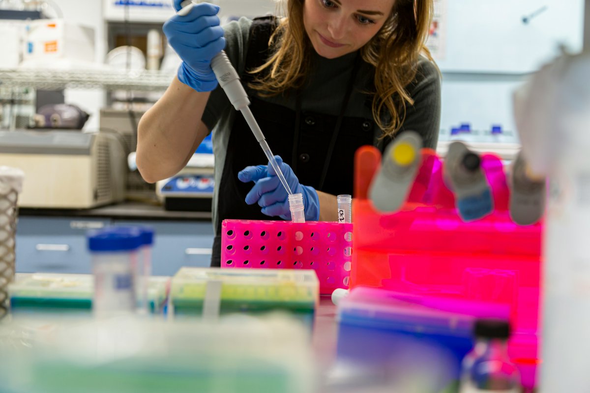 V praxi se rozlišuje obecný záchyt „Legionella spp.“ a konkrétní druh „Legionella pneumophila“. Nálezy Legionella pneumophila bývají obvykle vázány na vyšší riziko vzniku legionelózy, a proto vyžadují bezodkladnou intervenci. 

legionella.cz/clanky/legione…