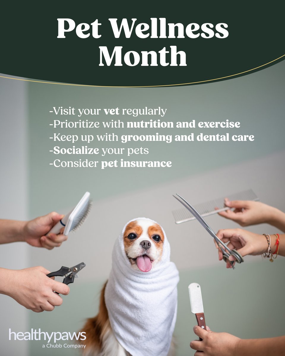 Healthy Paws, a Chubb Company tweet media