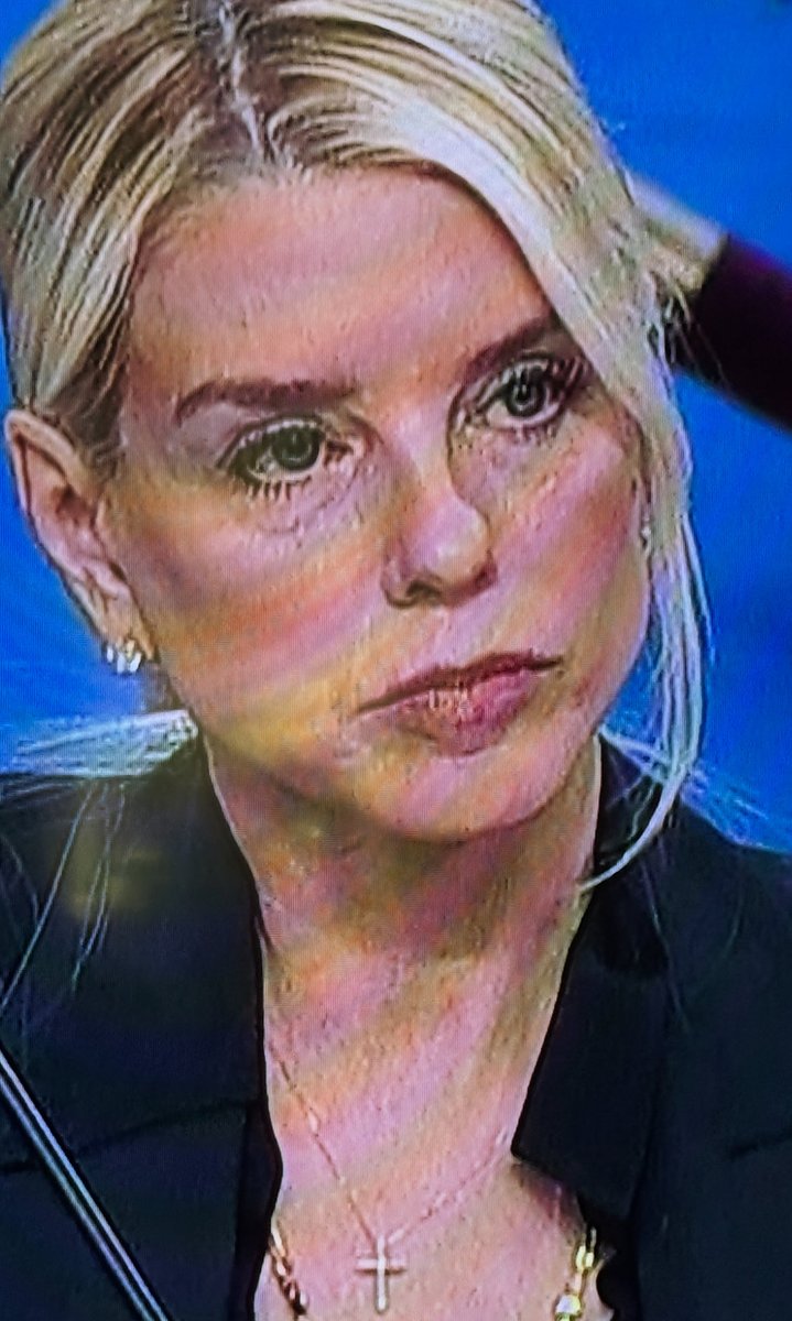 Meet Pam Bondi, current Attorney General that served as Trump’s personal attorney in 2020. Trump has weaponized the DOJ. Why is she so defensive and can’t truthfully answer any of the questions posed to her? I’m surprised that gold cross has not seared a hole in her fake A$$. 😡