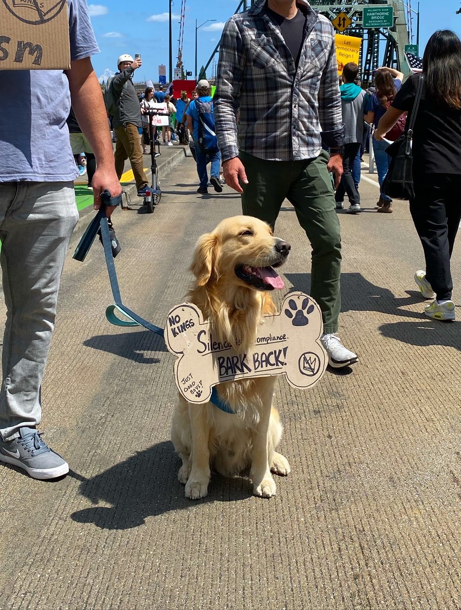 Devin Sweet tweet media