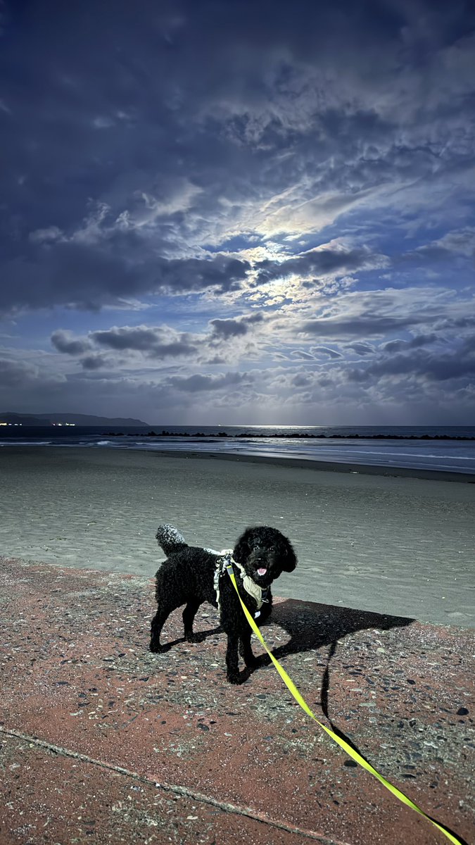 中秋の名月
2025/10/06

鴨川の前原横渚海岸

「横渚」って感じを
ヨコスカって読むの難しいね