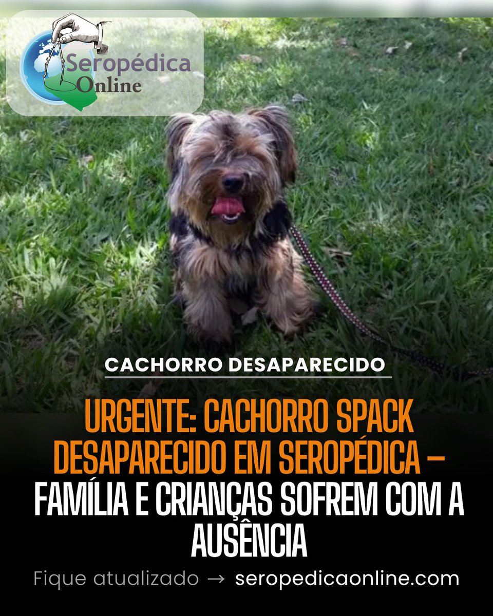 CalderiniLuiz's tweet image. 🚨🐾 Urgente! Spack, um cachorro da Rua Niterói em Seropédica, desapareceu e sua família, especialmente as crianças, está devastada! 🙁 Se você o viu, por favor, entre em contato: (21) 98886-1695. 🐶❤️ seropedicaonline.com/noticias/ultim… 
#CachorroDesaparecido #Spack #Seropédica