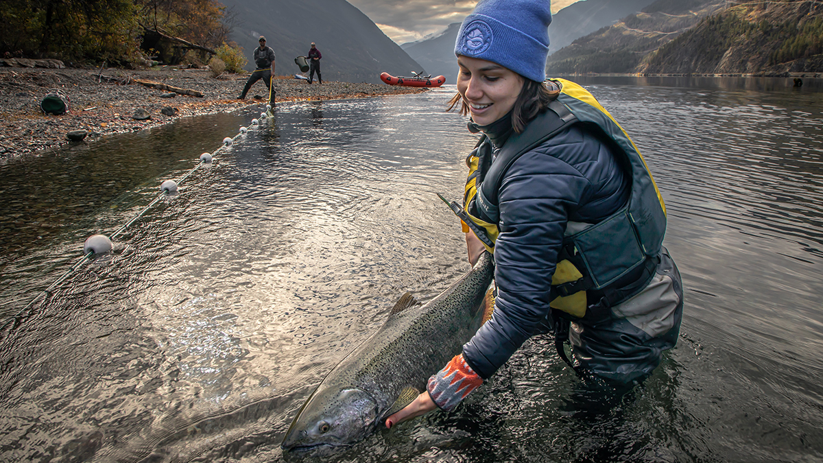 #MakeADifference! Find out how you can participate in habitat stewardship projects and help #PacificSalmon. ow.ly/AV6h50X7Wsi