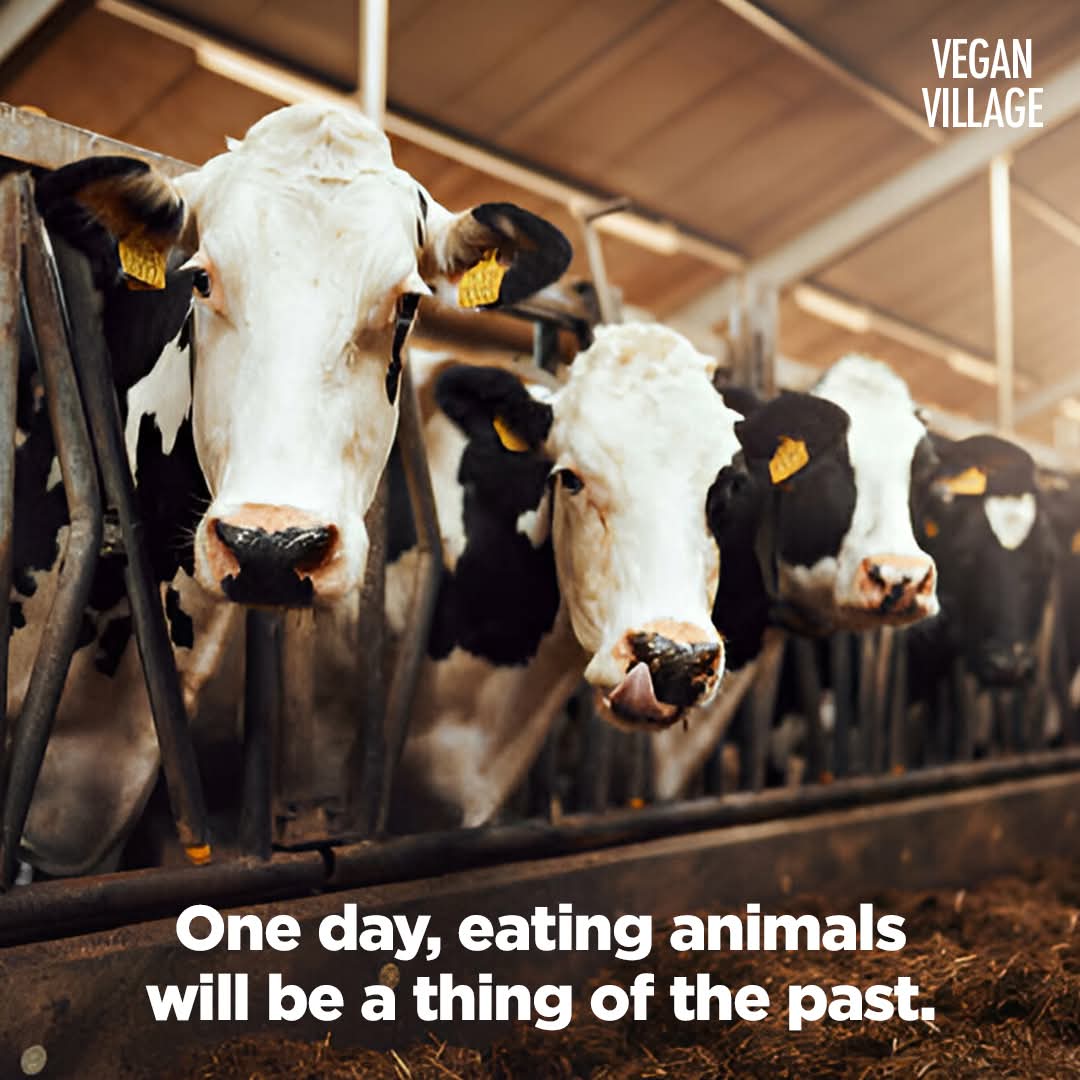 Lee Brace tweet media