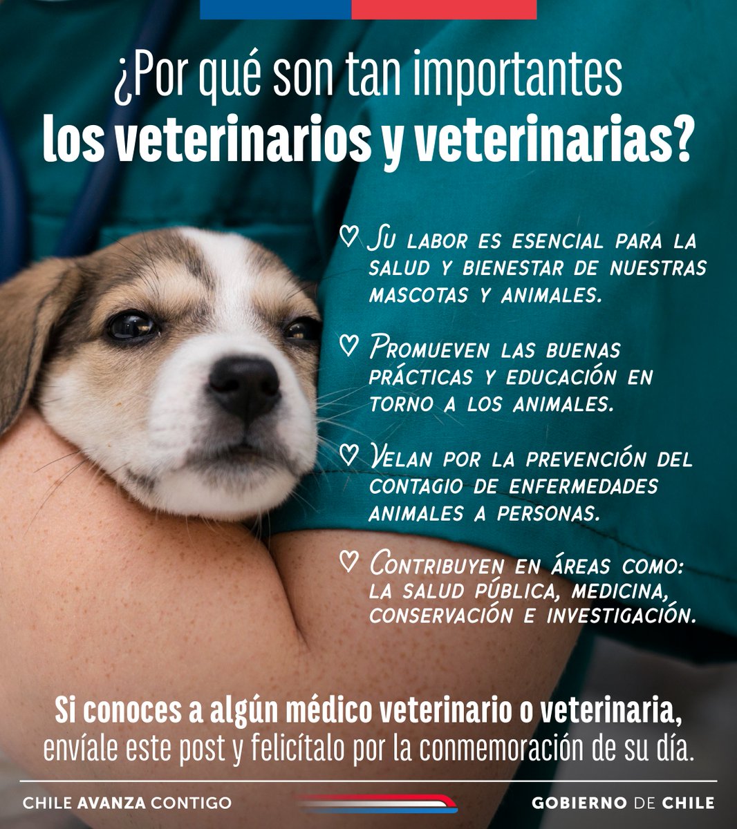 😻 En Subdere contamos con aliados clave para el buen desarrollo de las iniciativas y en esta oportunidad queremos saludar a los Veterinari@s de Chile, queson los principales promotores de la Tenencia Responsable de mascotas.

🥳 Feliz día del Medico Veterinario

#CuidadoAnimal