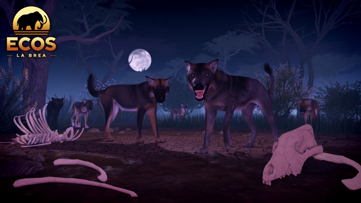 This Friday, things are getting spooky! 👻

Introducing the Mangey Dire Wolf, a limited edition Halloween skin only available from October 10th-November 7th! 🎃

A new coat also emerges from the fog…Boggy Dire Wolf, a permanent Tier 4 skin priced at 3000 tracks. 🐾