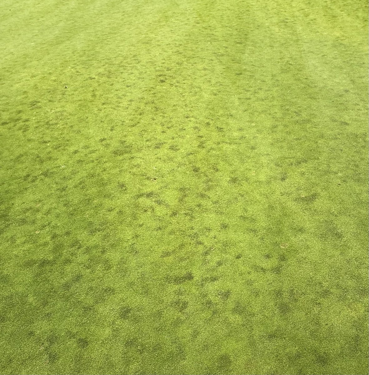 Dr John Dempsey ⛳️🔬 tweet media