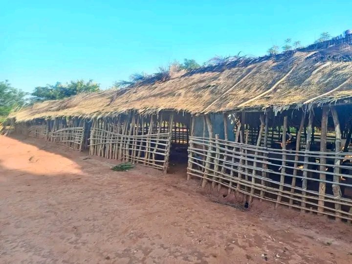 Une école primaire située dans la province du Haut-Uele, au cœur de l’Afrique. 💔🇨🇩