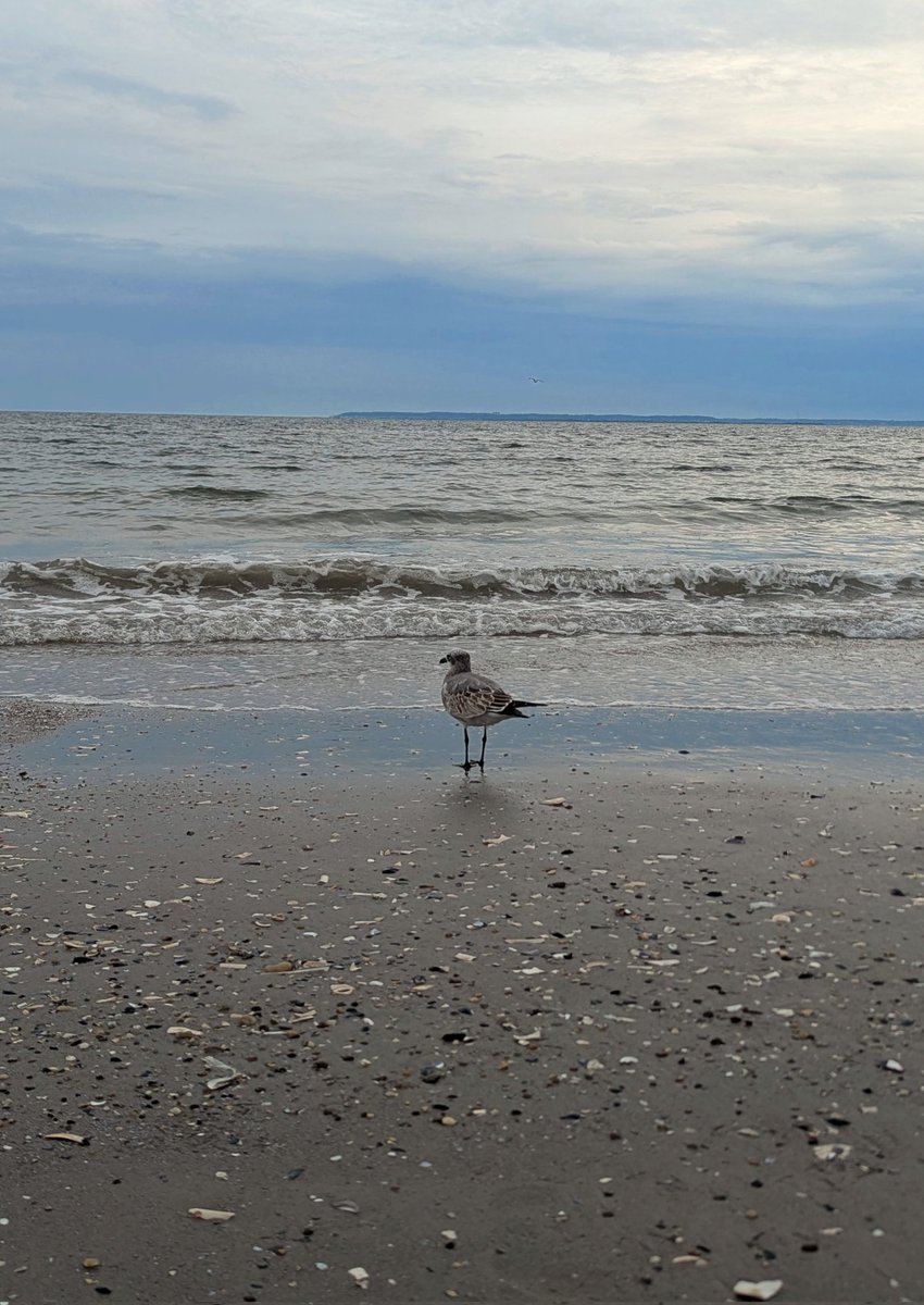 Born to love the sea.