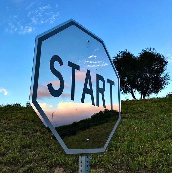 rare_jpg's tweet image. 