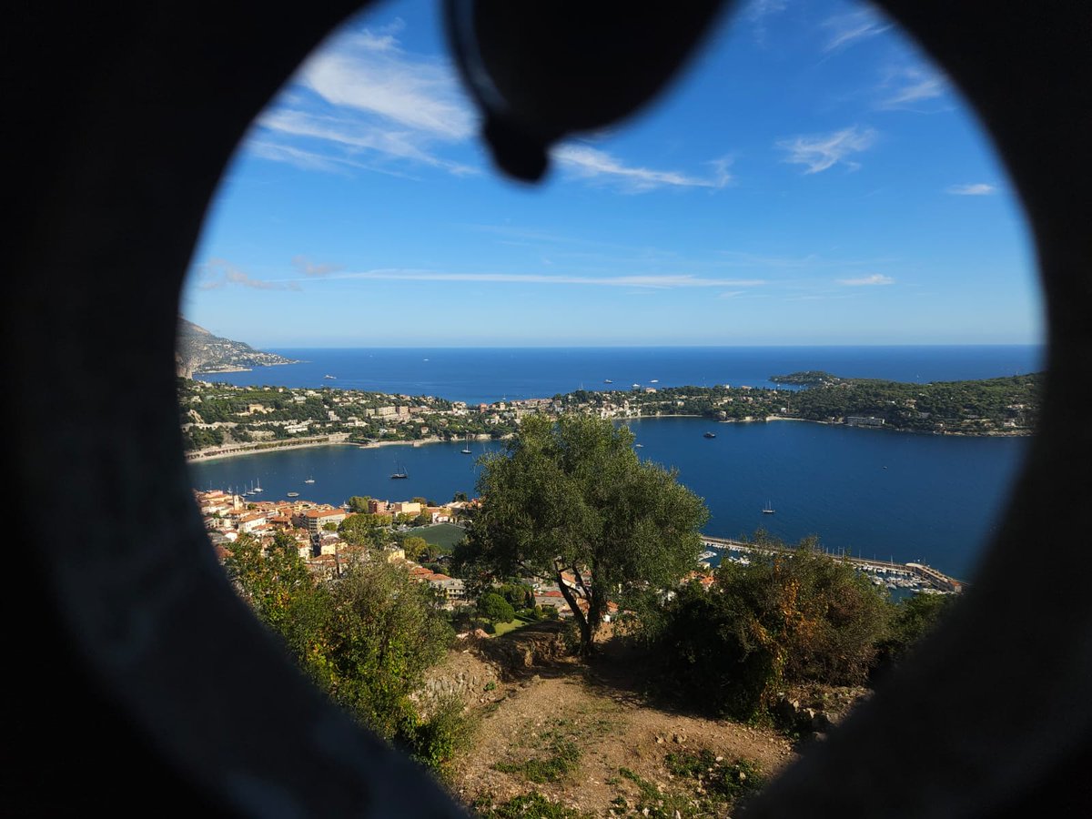 Languages at AGSB tweet media