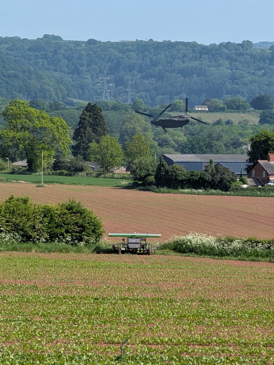 Ally Hunter Blair tweet media