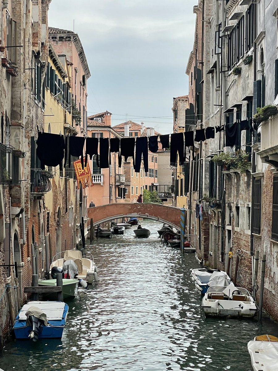 Nensi Coseani tweet media