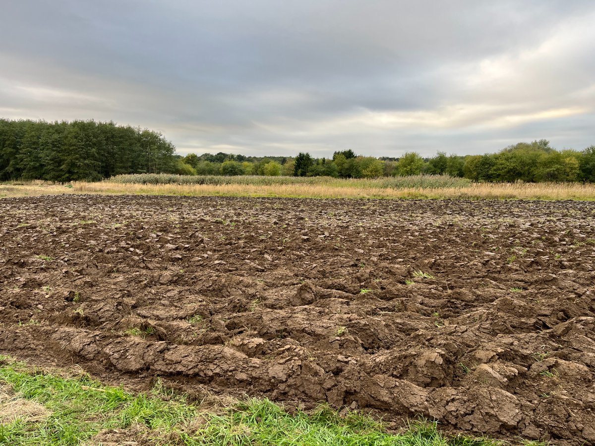 Takže! Prosba! #FarmářJežek

Zakládáme s organizací Ekocentrum koniklec novou a trvalou louku. Pro podporu biodiverzity v blízkosti Cholupického mokřadu. Nedostali jsme dost regionálního osiva a tak se musí dokupovat. Ideální směs od Agrostisu vhodná do této lokality stojí deset
