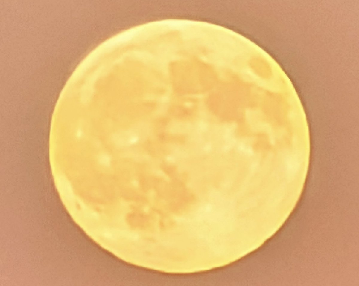 Bon vespre gent bonica, encara no tinc whassap, abraçada gegant😘😘