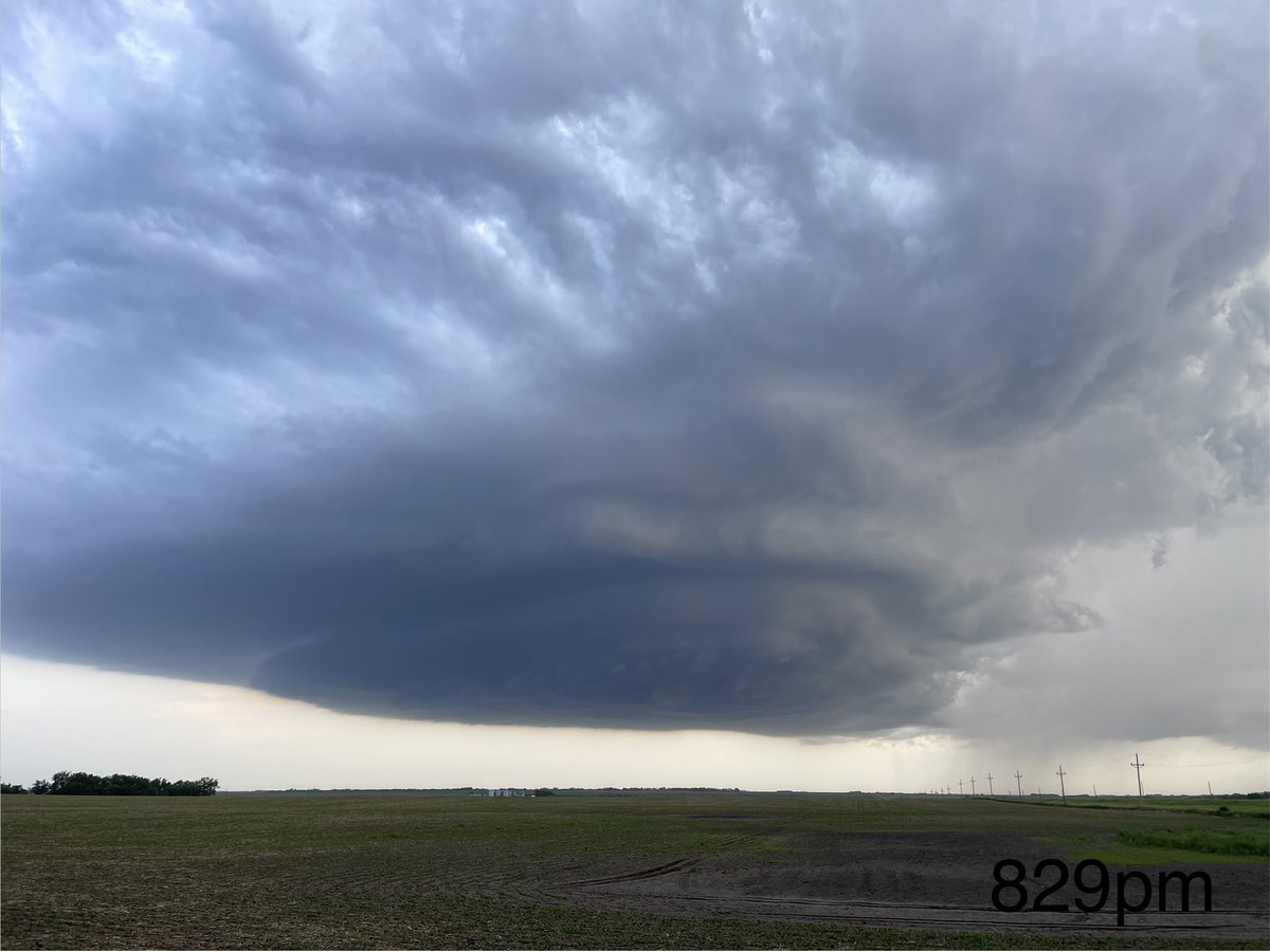 Dustin Freeman tweet media