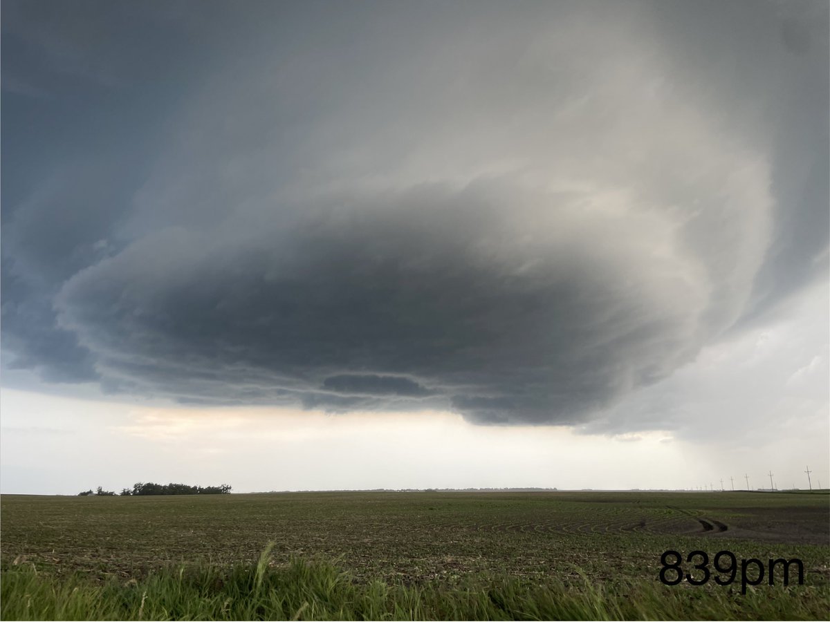 Dustin Freeman tweet media