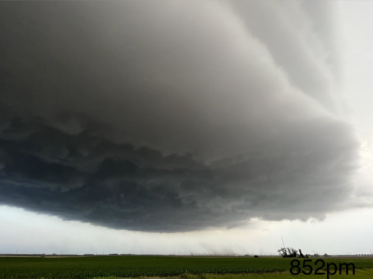 Dustin Freeman tweet media