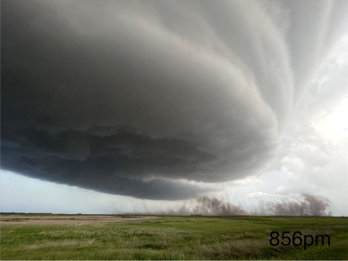 Dustin Freeman tweet media