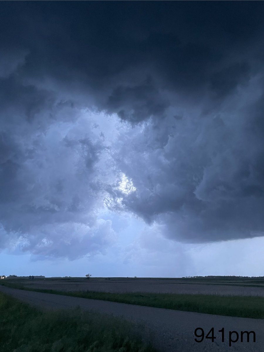 Dustin Freeman tweet media