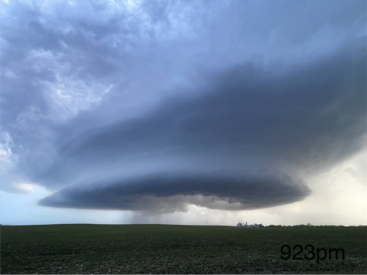 Dustin Freeman tweet media