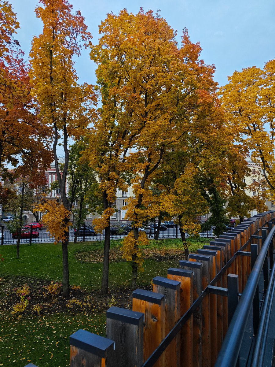 Мари tweet media