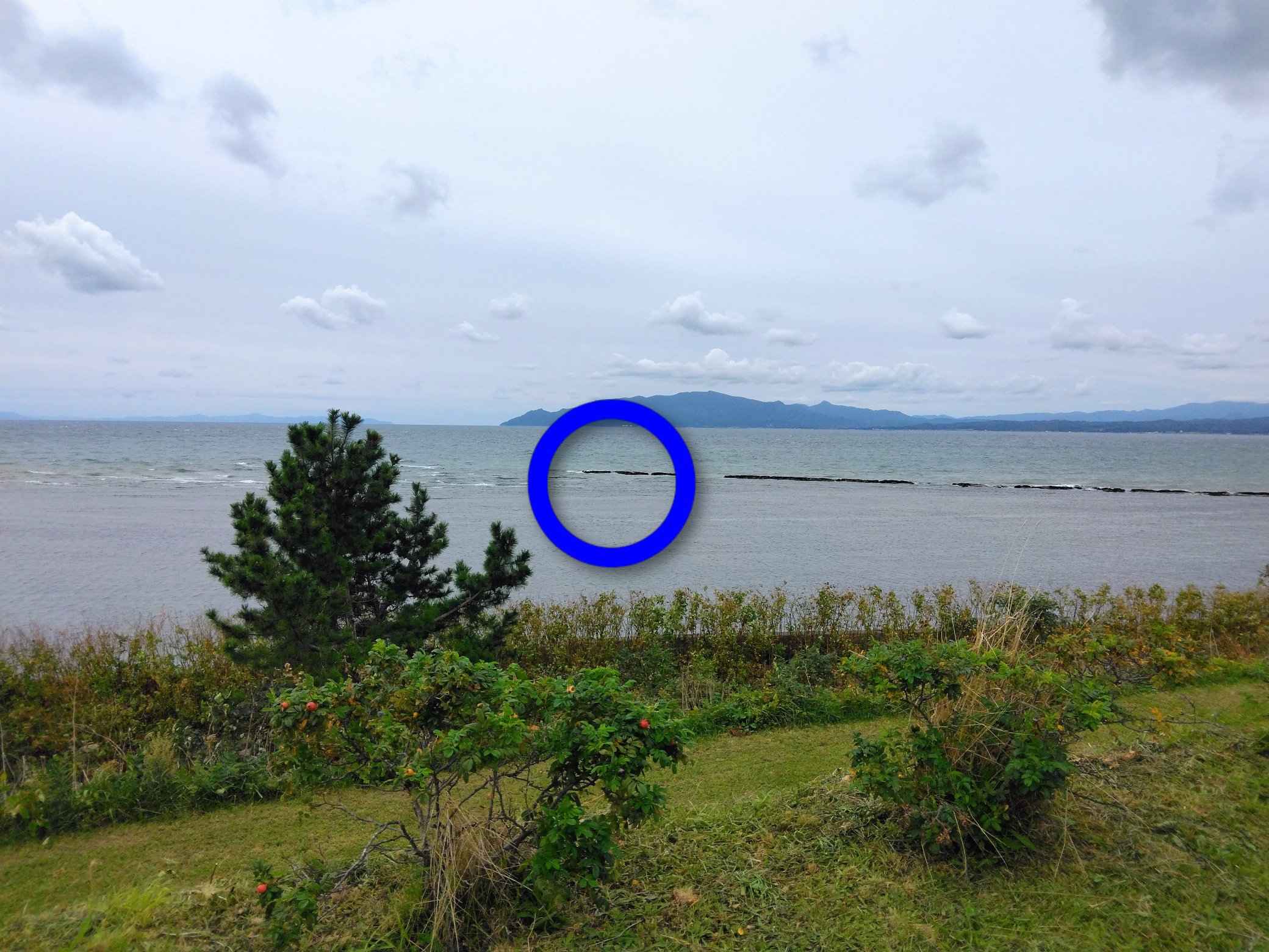 しんおーの shin ohno on X: 