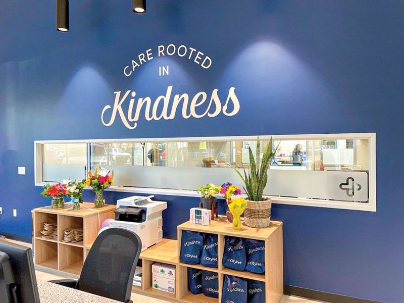 Expanding your practice? A guide to brand design consistency veterinarypracticenews.com/expanding-prac…