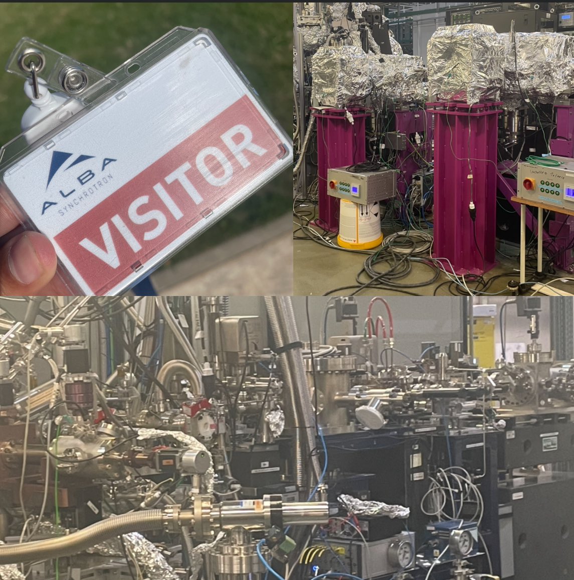 Frank Gómez tweet media