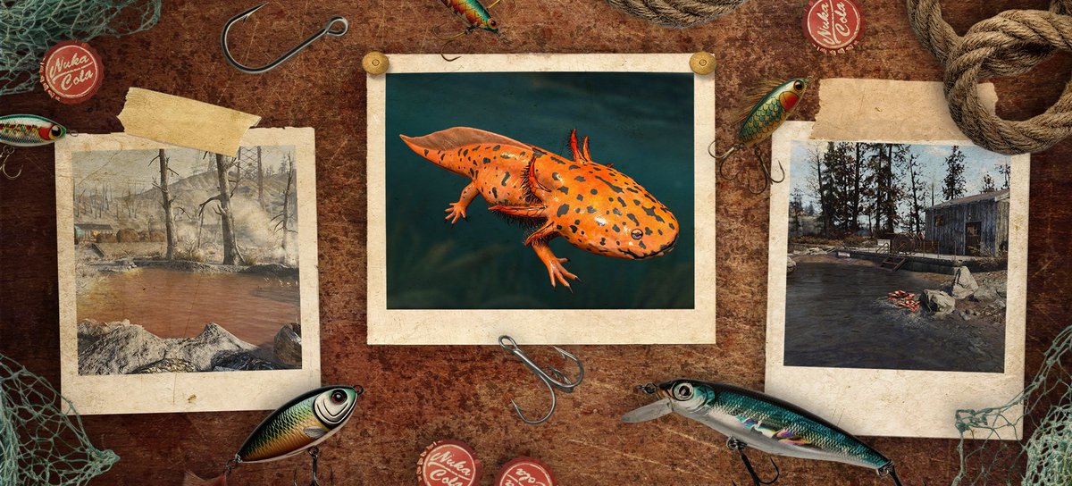 Fallout's tweet photo. A new Axolotl has appeared! Here's your hint on where to find them:

High in the mountains and in the valley below, the Spotted Axolotl makes a show! #Fallout76 https://t.co/ERcUAGKfu2