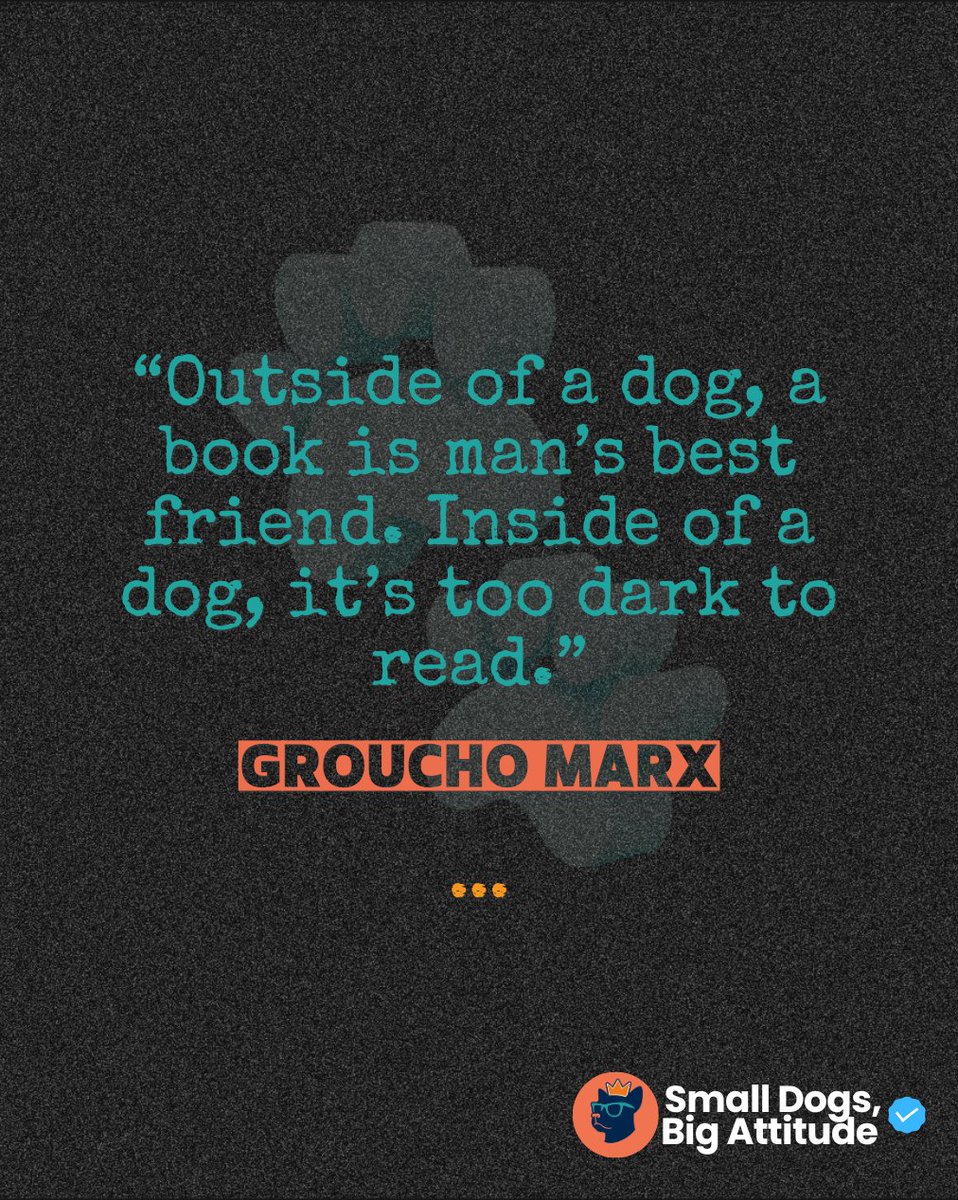 SmlDogs_BigAtti's tweet image. "Outside a dog, a book is man's best friend. Inside a dog, too dark to read." — Groucho Marx #DogQuotes #GrouchoMarx #ClassicHumor