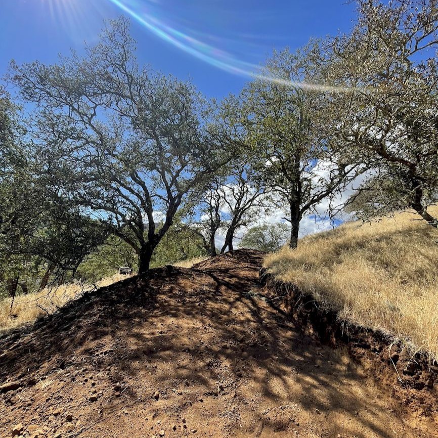 ColoresTree's tweet image. Tree cleaning goes beyond raking leaves—I remove limbs, debris, and more, so your yard stays safe and beautiful. Let me handle the mess for you.
#TreeCleaning #ColoresTreeService
treeservicesaromas.com/contact