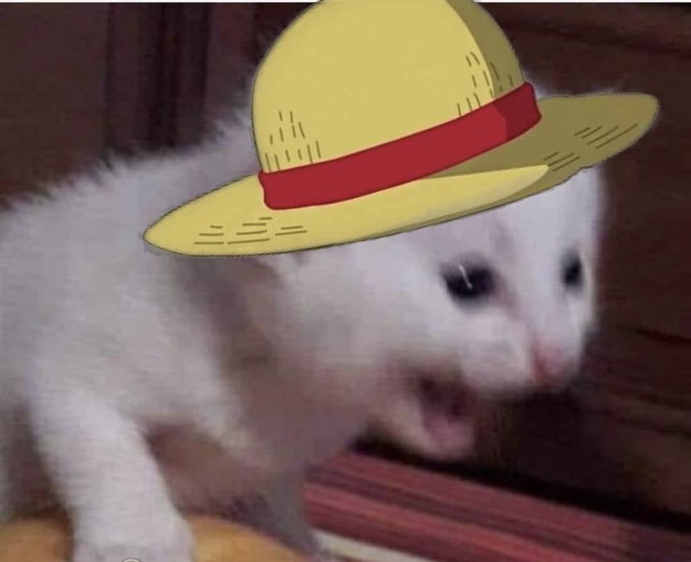 <a href="/onepiecenetflix/">ONE PIECE(ワンピース) Netflix</a> LABOOOOOOOOOOOON❤️