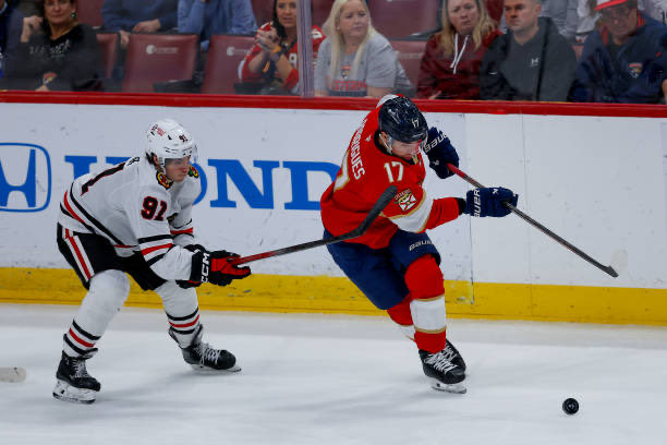 champchucky19's tweet image. Who will score the first cats goal of the season?
#TimeToHunt