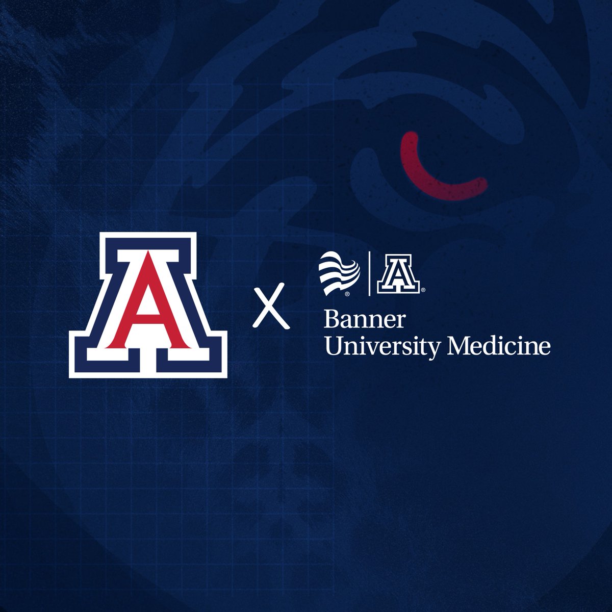 Arizona Athletics announces the expansion of its comprehensive partnership with Banner – University Medicine through Arizona Sports Enterprises

📰 arizonawildcats.com/Banner