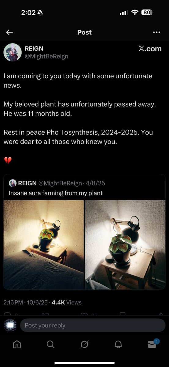 Some of the gayest shit I’ve ever seen in my life
