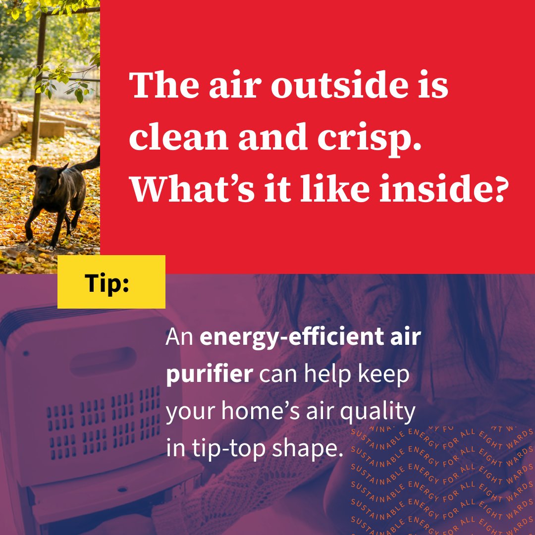 Fall’s here 🍂 and those windows will soon be closed. Breathe easy with an ENERGY STAR® air purifier—filter out dust + allergens and get $50 off this Energy Efficiency Month. Learn more: bit.ly/432HugL