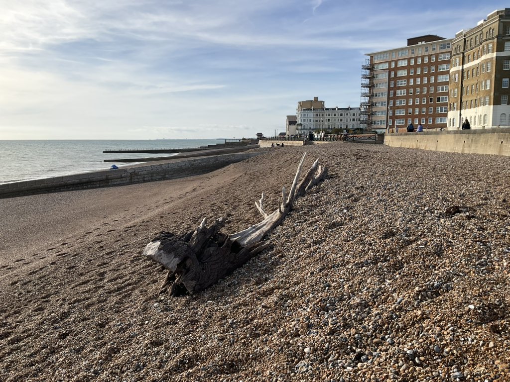 Simoncitizen's tweet image. #Shipwrecked #Hove #AfterTheStorm Dead #trees fall and float.