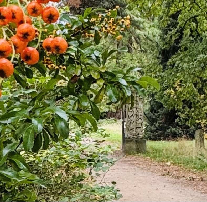 Autumn has definitely arrived at <a href="/nationaltrust/">National Trust</a> Kedleston Hall ☺️