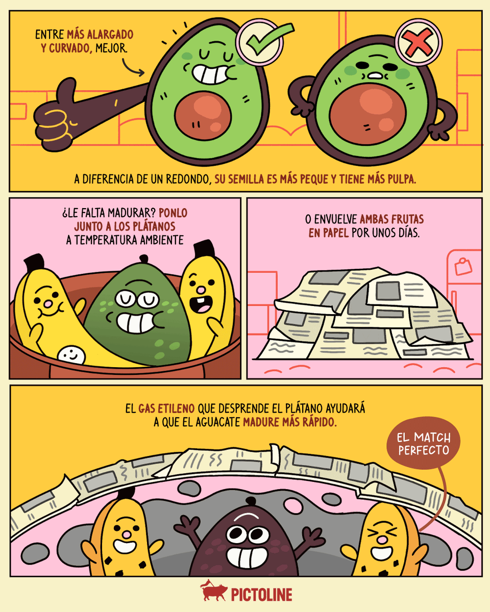 pictoline's tweet image. Convertirte en máster en aguacates es uno de los posgrados de la vida adulta 🥑🛍️🛒

#aguacate #avocado #aguacatehass #food #guacamole #palta #paltalover #despensa #tipsandtricks #comida #mercado #hacks #lifehack #pictoline