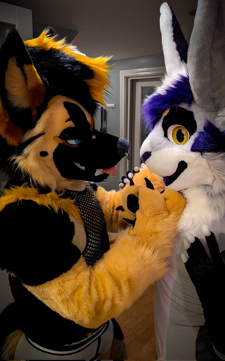 Snickers (@snickersskunk) on Twitter photo POV
He hits you with "hey puppy" π³
πΆ: <a href="/RykerTheShep/">Ryker (GOH ACFI25)</a> POV
He hits you with "hey puppy" π³
πΆ: <a href="/RykerTheShep/">Ryker (GOH ACFI25)</a>