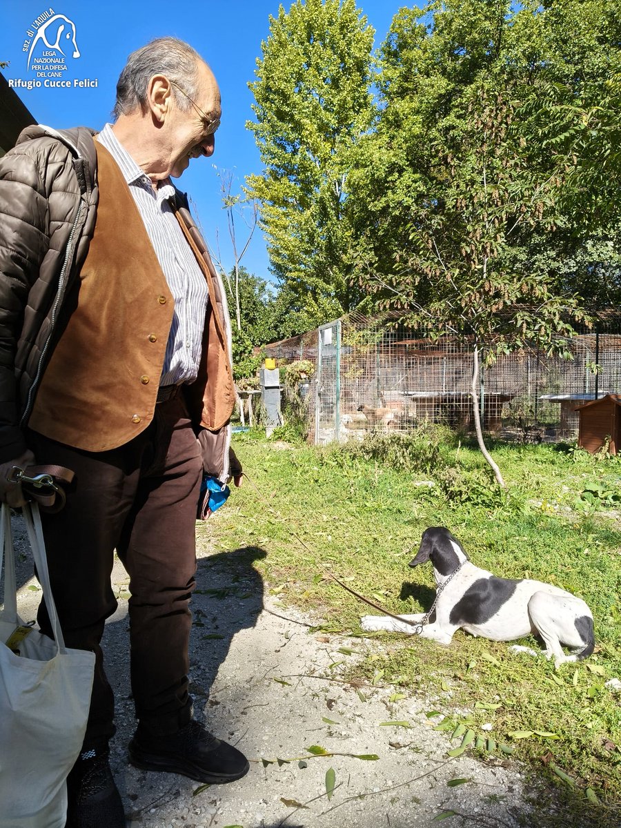 cuccefelici's tweet image. 🎈 Santina, entrata in Rifugio dopo essere stata recuperata vagante, va a casa 🥳🏠
🙏 Grazie ad Anna e Raniero per aver scelto di adottare un cane adulto in #canile 🐶🤩
🫵 Arricchisci la tua vita: adotta! 🐾 ➡ bit.ly/adottaLNDCAQ #pointer #LAquila #Abruzzo #LegadelCane