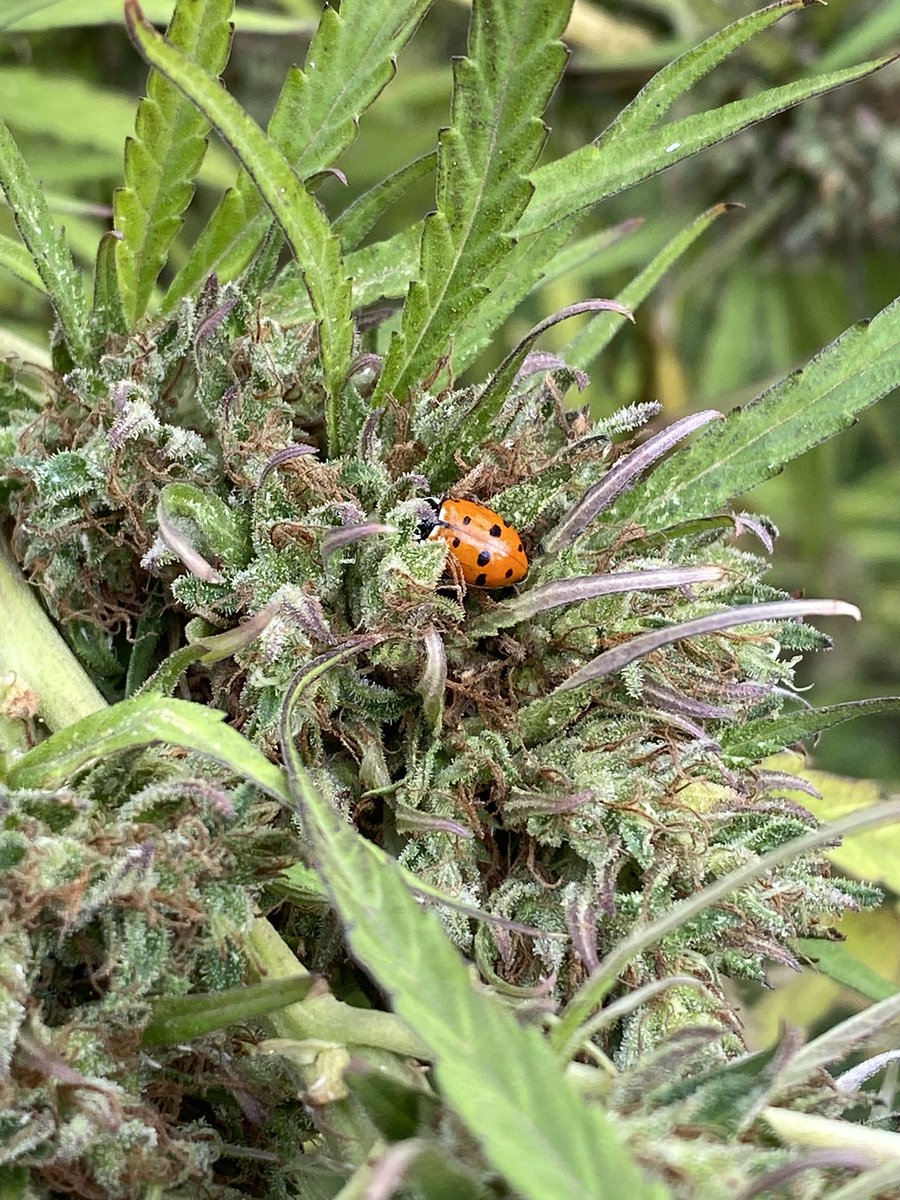 I appreciate you, friend!