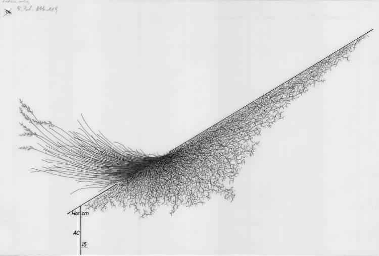 Alessandro tweet media