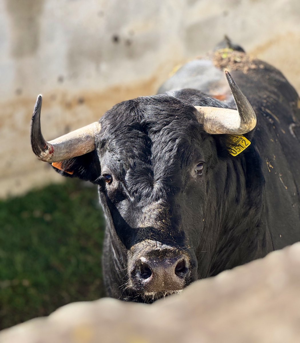 <a href="/SnCoyotepec/">Ganadería Coyotepec</a>