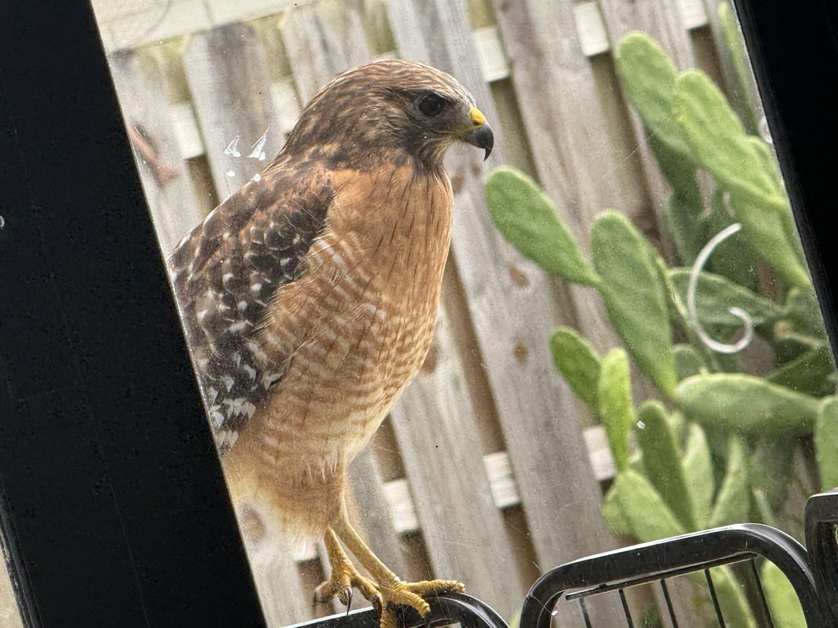 Just had a nice visit…