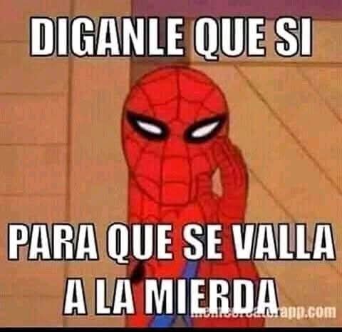 jaime_chic's tweet photo. @lucreciapeinado @BArevalodeLeon https://t.co/AHXJQwswzm