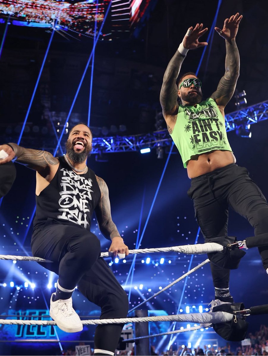 theusotwinzcom's tweet image. WWE DEUTSCHLAND 💚