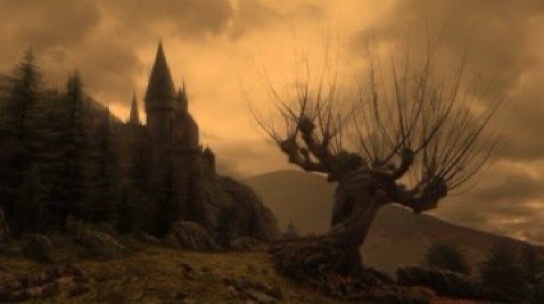 TheDailyHPotter's tweet photo. October, the scary month 👻 https://t.co/eRnGcyzvmy